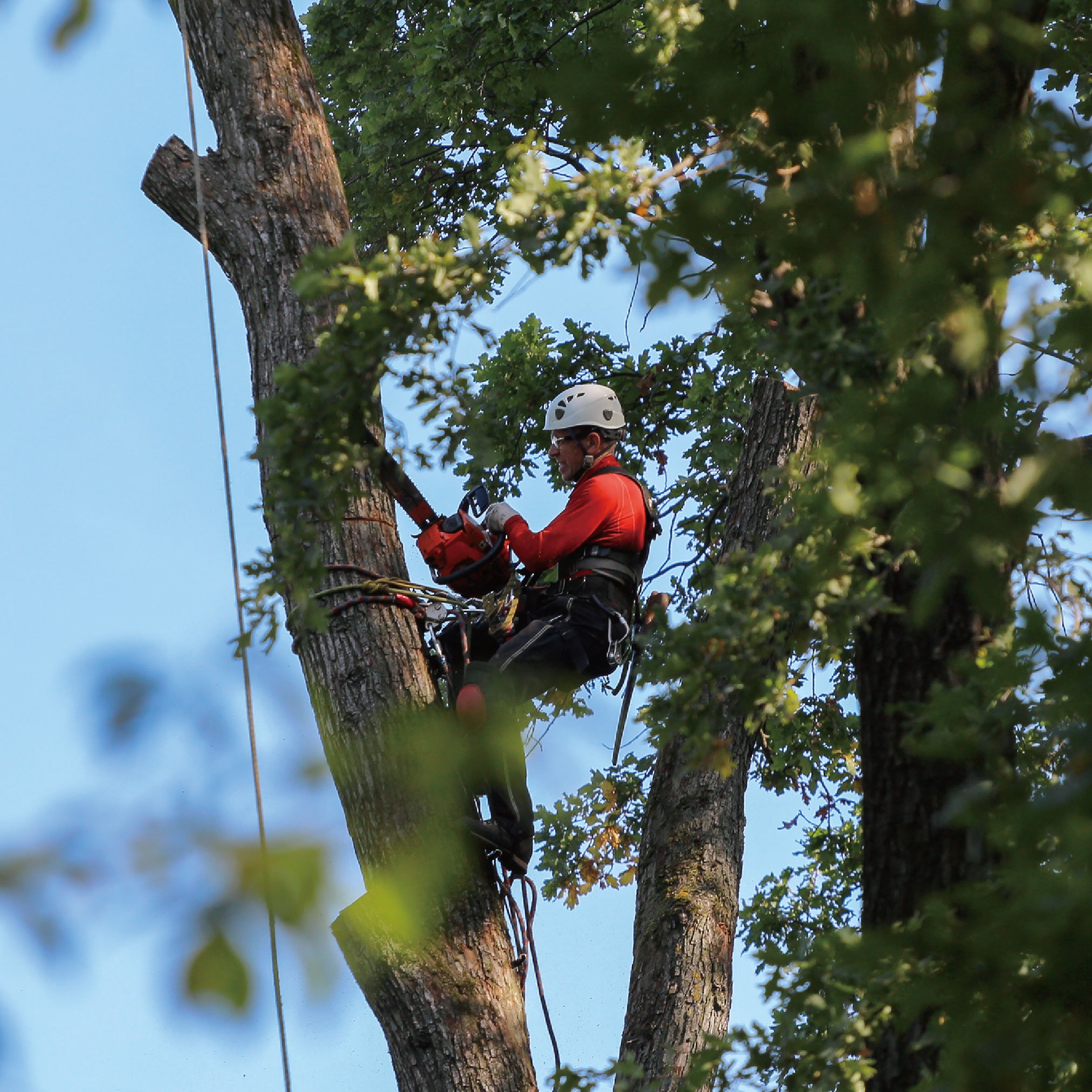 Madaco Safety Product